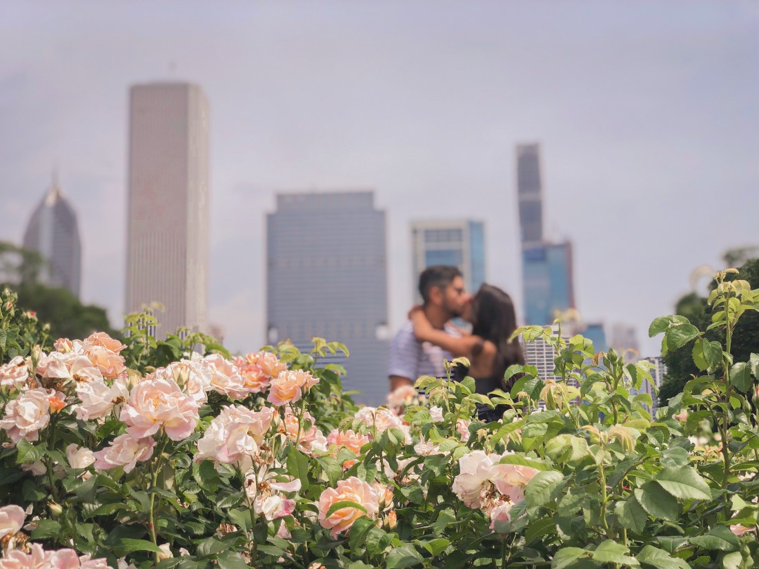 C60C0D33-6BBF-4529-8B3C-AF24F384DEF5