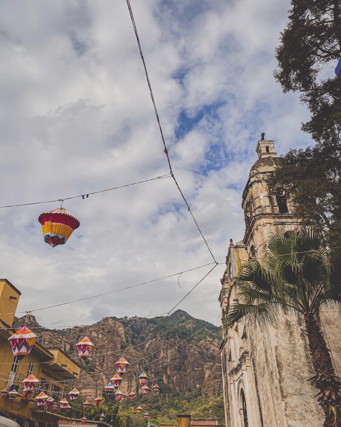 53FD522E-1789-4957-AB18-19915193DA97