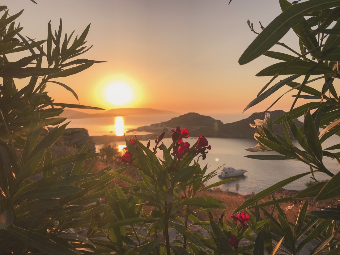 A4C47443-28C9-4CB9-B40A-F239819A6625