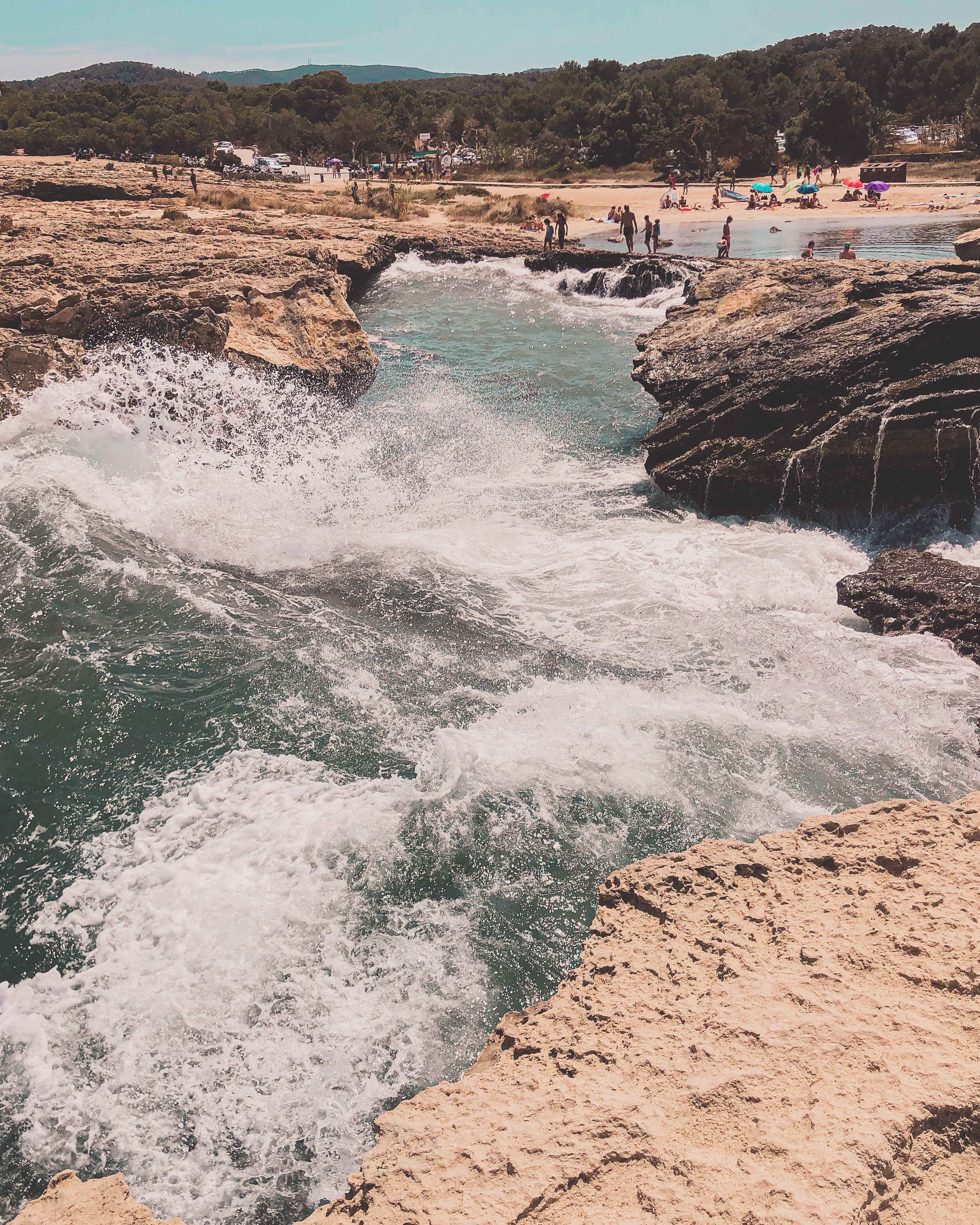 3AA45BF7-8C1C-40D4-90F2-E007CFCF8BBE