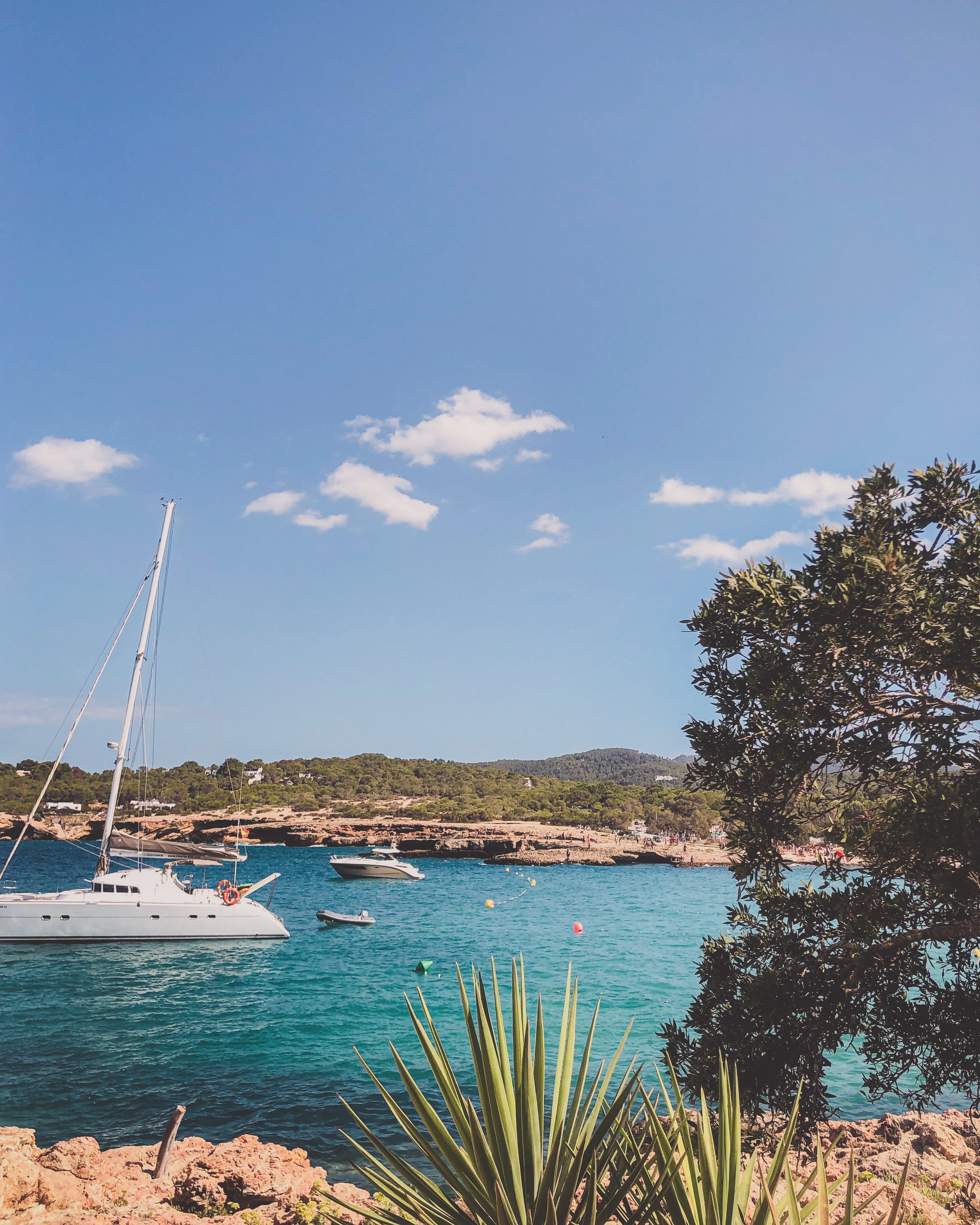 84BA846F-52E5-4FC9-9FAD-E4DFA0967708